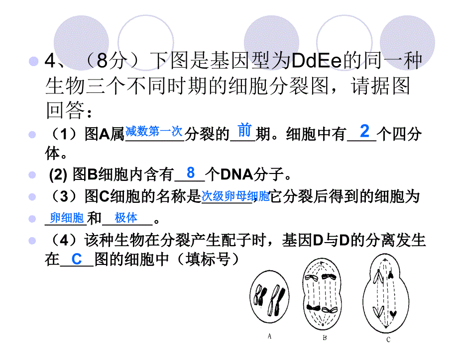 高中生物必修二练习及知识点复习_第4页