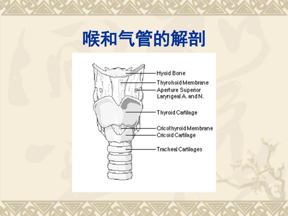 气道评估和管理PPT课件02_第4页