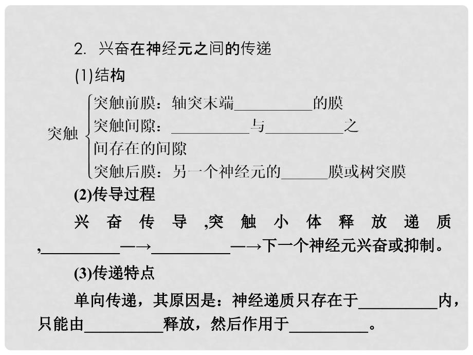 高考生物一轮复习 1.2通过神经系统的调节课件 新人教版必修3_第4页