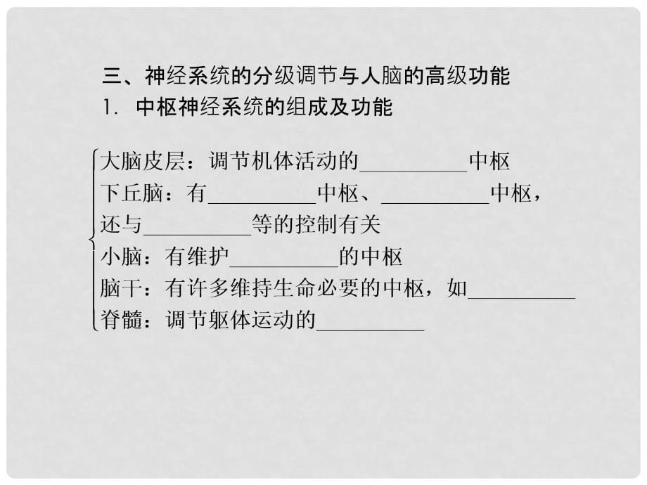 高考生物一轮复习 1.2通过神经系统的调节课件 新人教版必修3_第5页