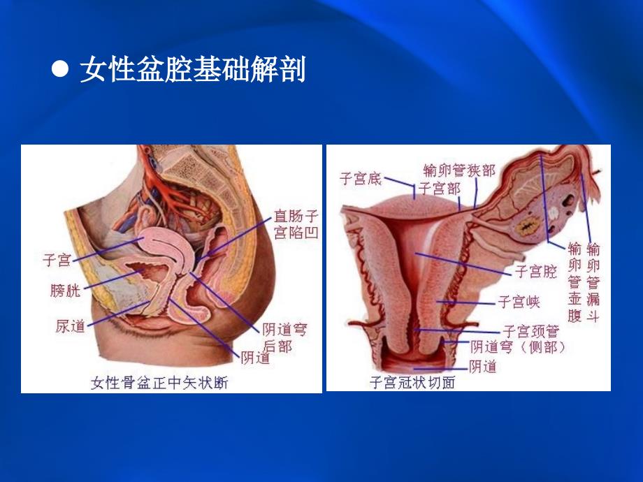 子宫内膜癌的MRI评价_第2页