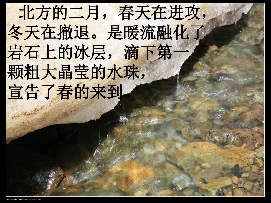 北师大四下潮_第4页