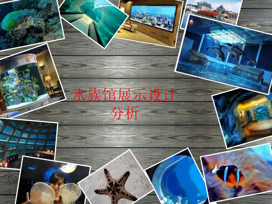 水族馆展示设计是分析案例蓝色星球资料_第1页