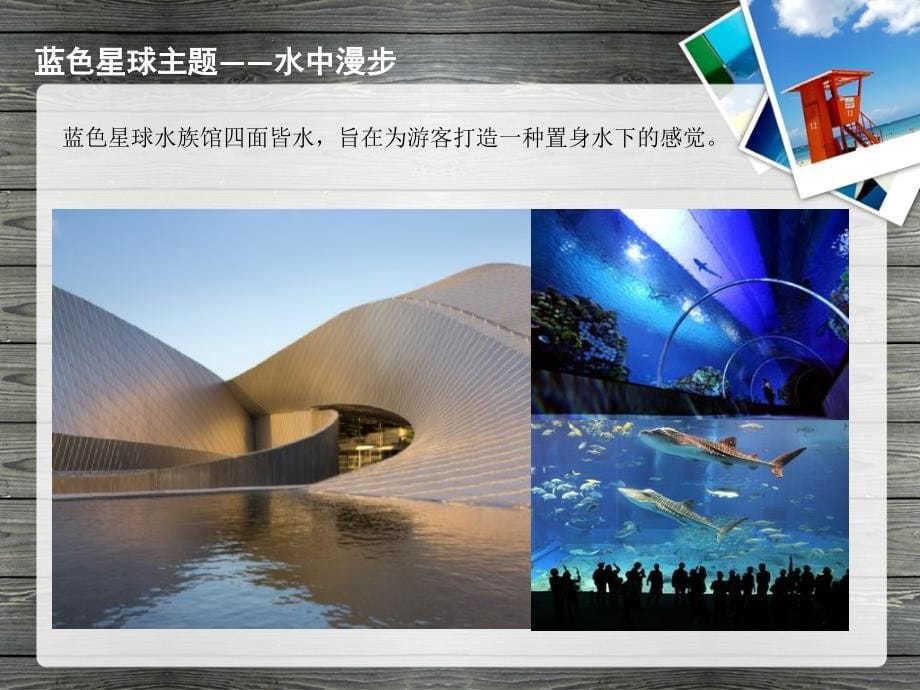 水族馆展示设计是分析案例蓝色星球资料_第5页