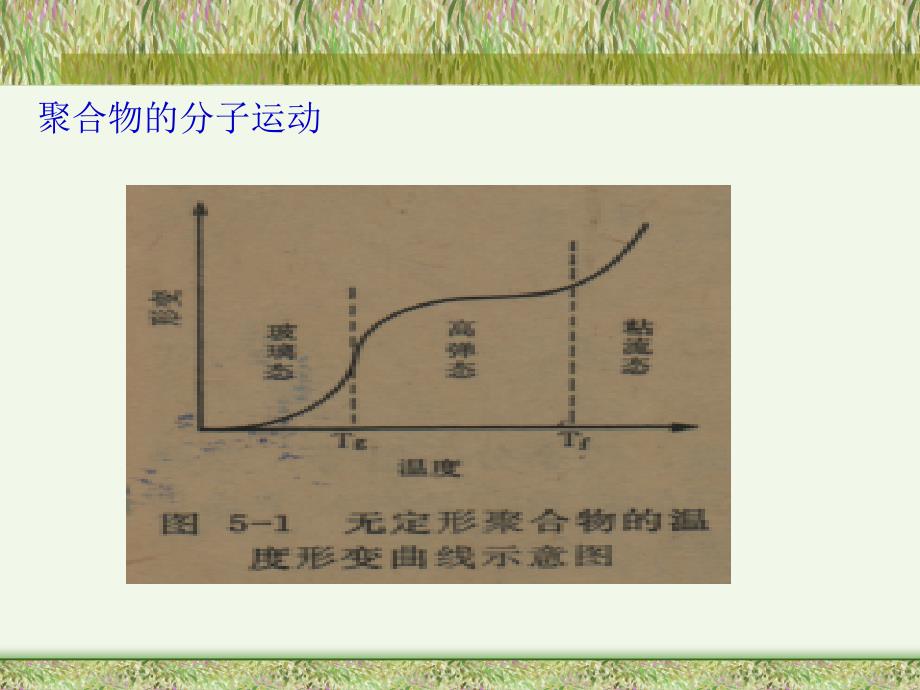 聚合物的玻璃化转变.ppt_第4页