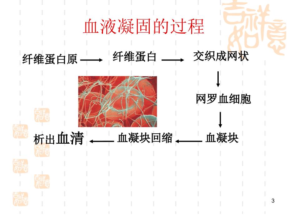 血液凝固与抗凝课堂PPT_第3页