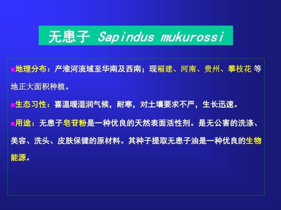 树木学课件：45无患子科 SAPINDACEAE_第5页