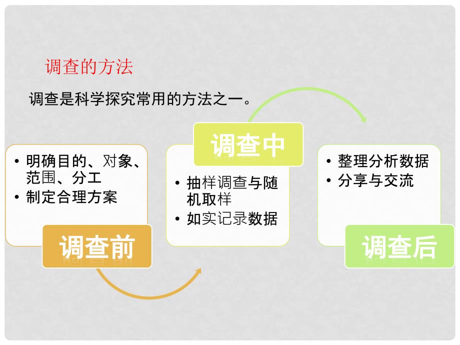 七年级生物上册 1.1.2 调查周边环境中的生物（第1课时）课件 （新版）新人教版_第4页