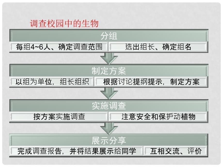 七年级生物上册 1.1.2 调查周边环境中的生物（第1课时）课件 （新版）新人教版_第5页