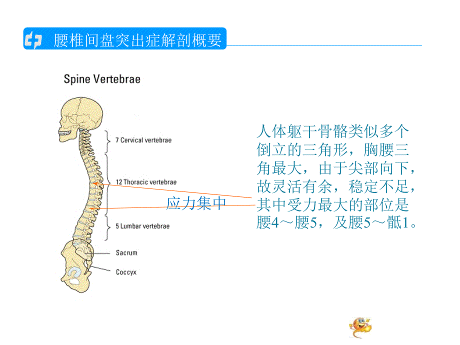 腰椎间盘突出的护理查房1_第1页