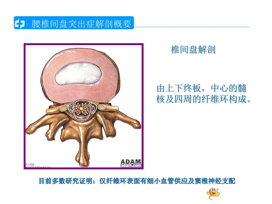 腰椎间盘突出的护理查房1_第2页