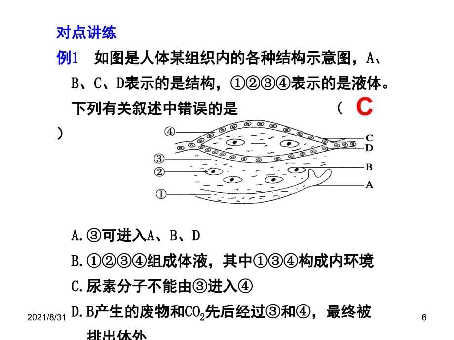 一轮生物必修三第一章复习PPT课件_第5页