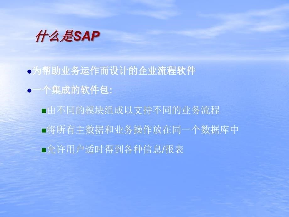 《SAP用户培训》PPT课件.ppt_第5页