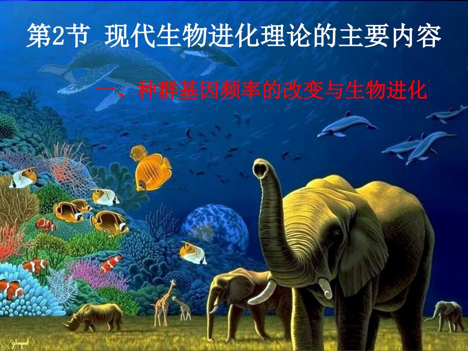 67现代生物进化理论的主要内容_第1页