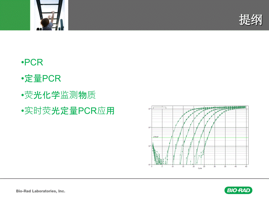 CFX96实时荧光定量PCR培训教材PPT业界特制_第2页