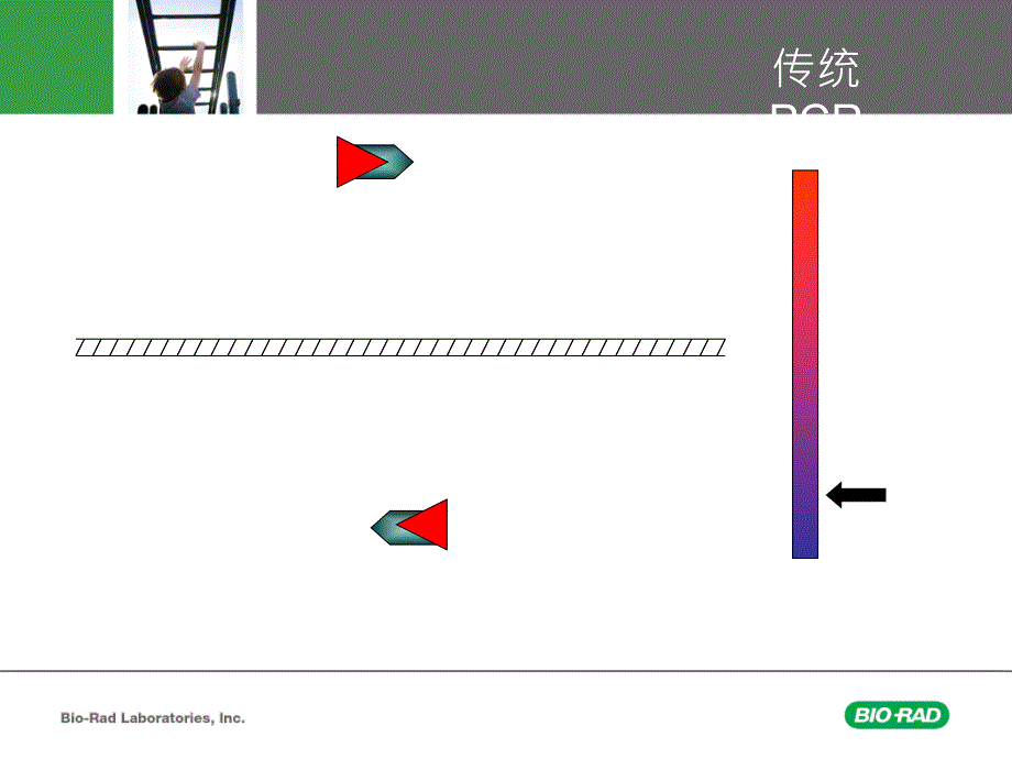 CFX96实时荧光定量PCR培训教材PPT业界特制_第4页