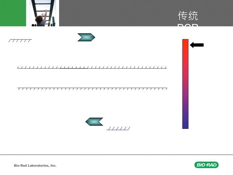 CFX96实时荧光定量PCR培训教材PPT业界特制_第5页