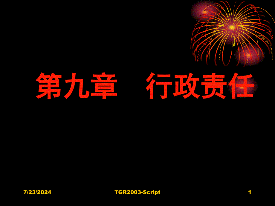 第九章行政责任_第1页