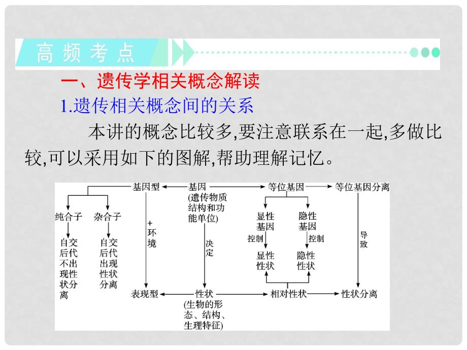 高中生物第1轮总复习 第1讲 孟德尔的豌豆杂交实验(一)课件 新人教版必修2（广东专版）_第3页