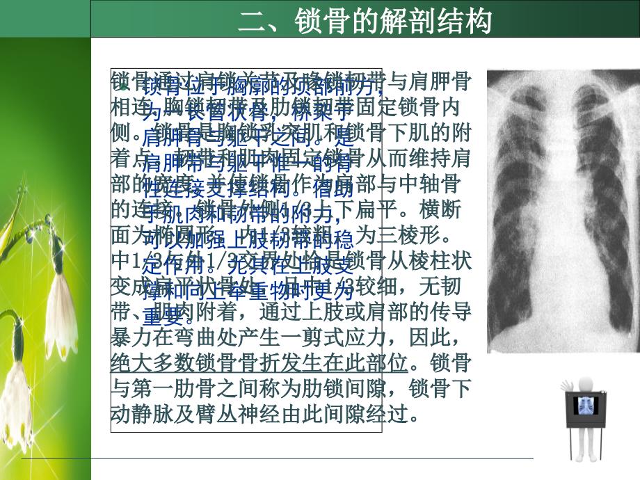 锁骨骨折的护理PPT课件_第3页