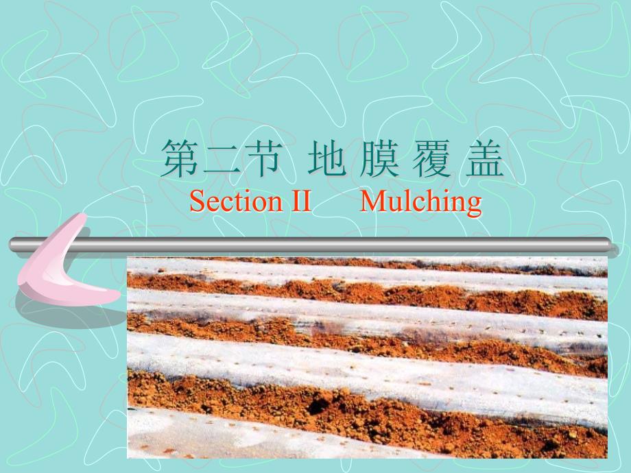 第二节地膜覆盖SectionIIMulching_第1页