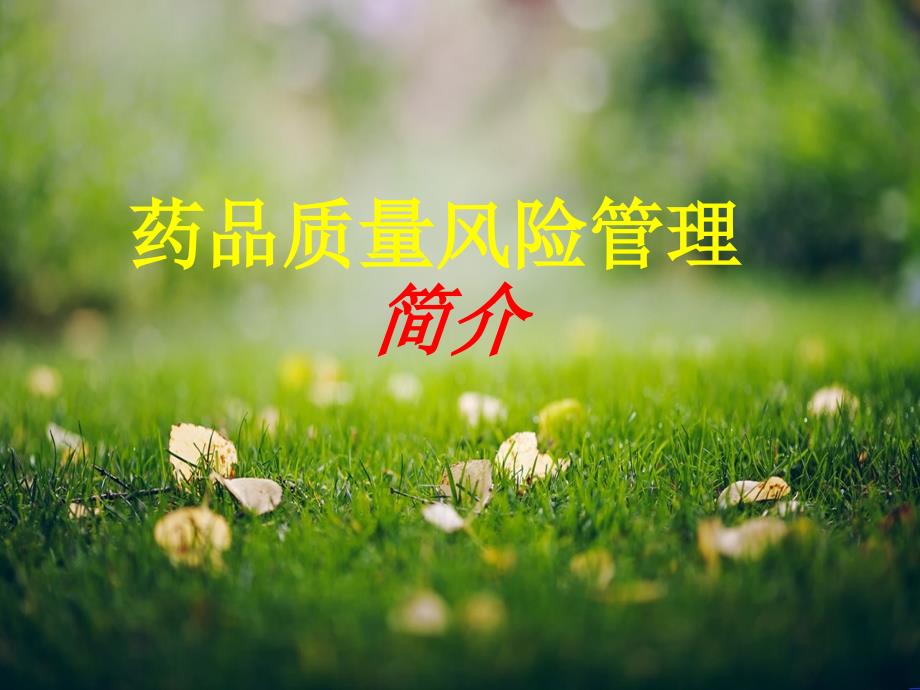 药品质量风险管理.ppt_第1页