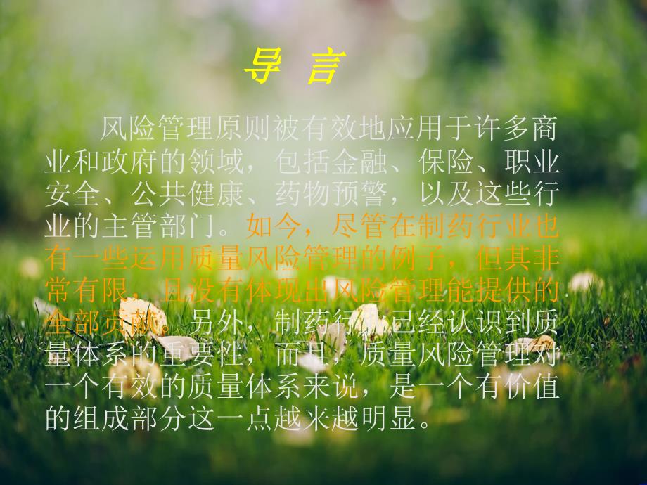 药品质量风险管理.ppt_第4页