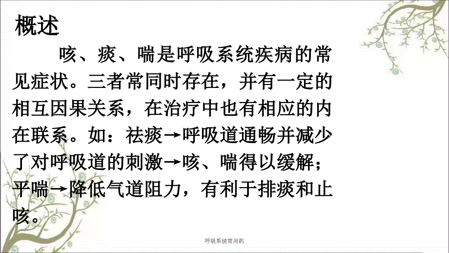 呼吸系统常用药课件_第3页