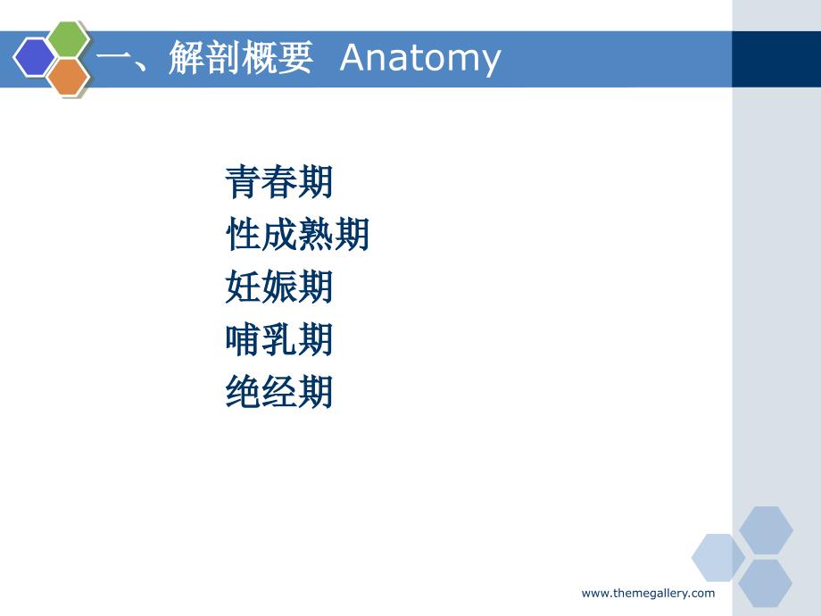 乳腺疾病超声诊断第五节乳腺_第3页