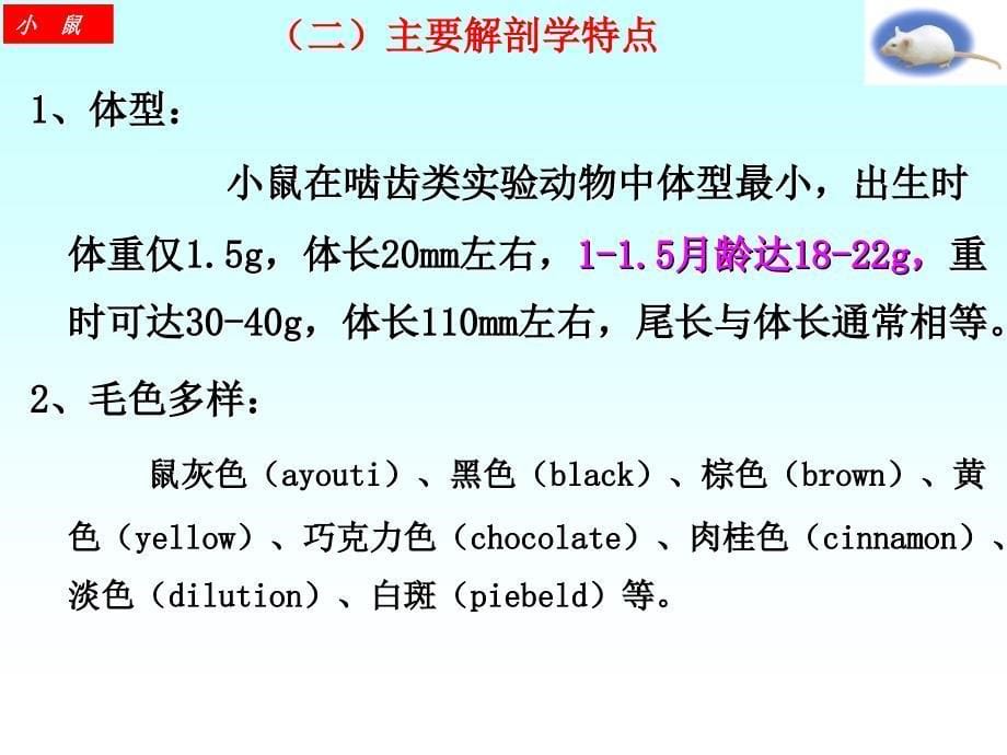 No.6.常见的实验动物_第5页