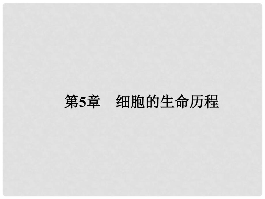 高考生物第一轮总复习 5.21细胞的生命历程课件 新人教版必修1_第1页