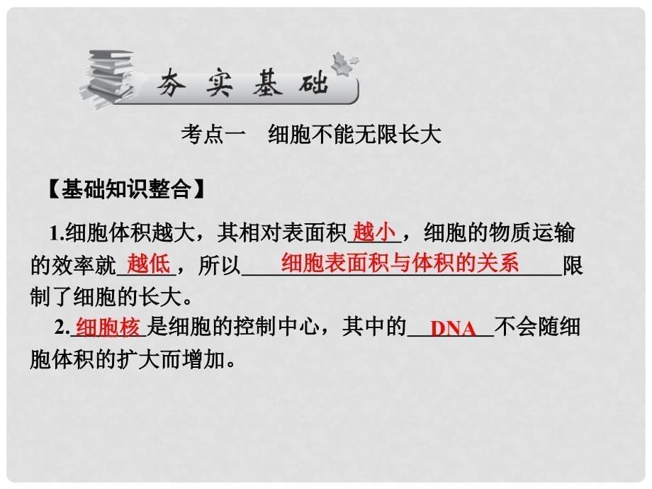 高考生物第一轮总复习 5.21细胞的生命历程课件 新人教版必修1_第5页