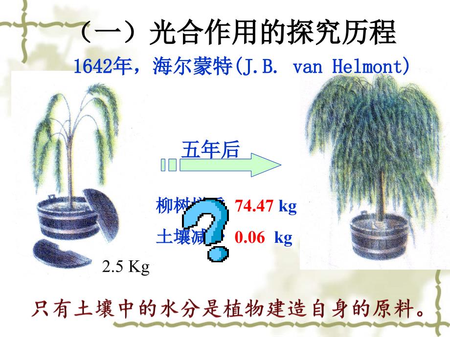 能量之源-光与光合作用第二课时_第2页