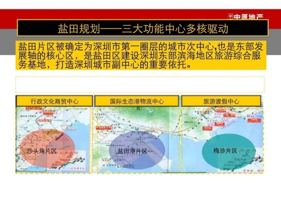 一线城市旅游地产案例万科盐田滨海城营销策略报告_第5页