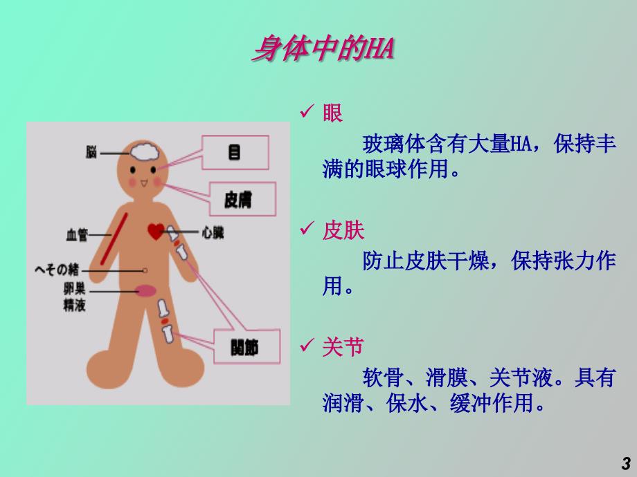 玻璃酸钠及阿尔治介绍_第3页