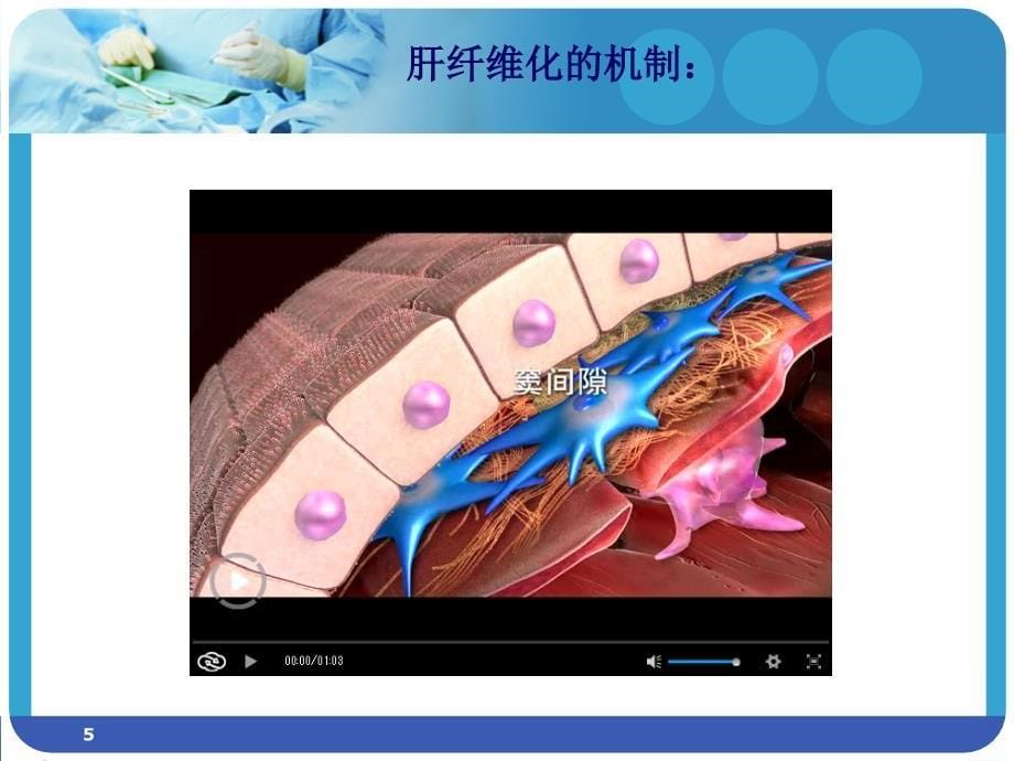 肝纤四项PPT参考幻灯片_第5页