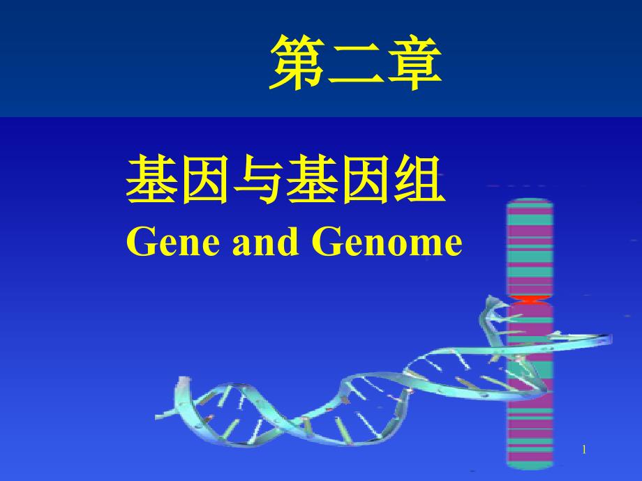 《基因与基因组》PPT课件_第1页