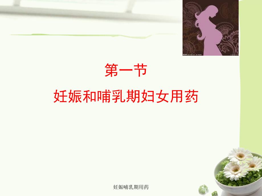 妊娠哺乳期用药课件_第3页