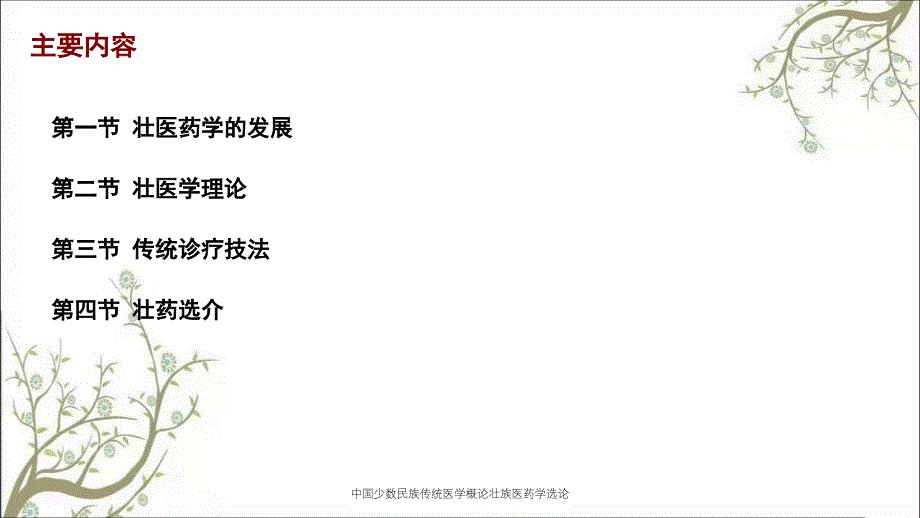 中国少数民族传统医学概论壮族医药学选论_第2页