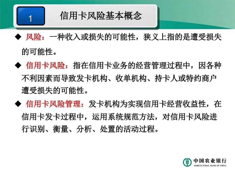 信用卡风险培训材料_第5页