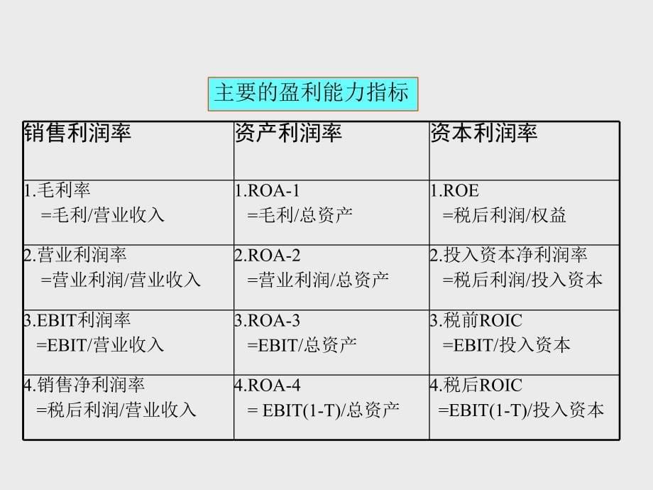 财务报表、财务政策与财务战略分析_第5页