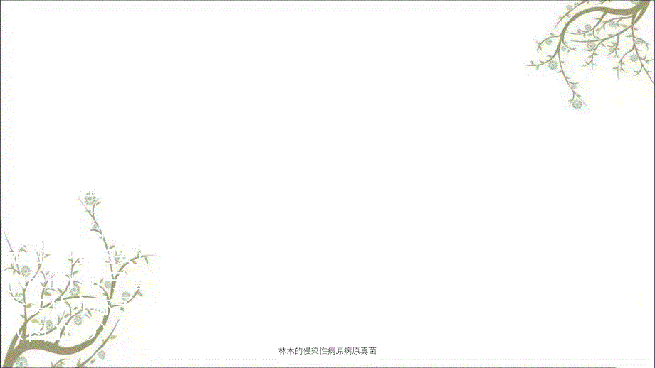 林木的侵染性病原病原真菌课件_第1页