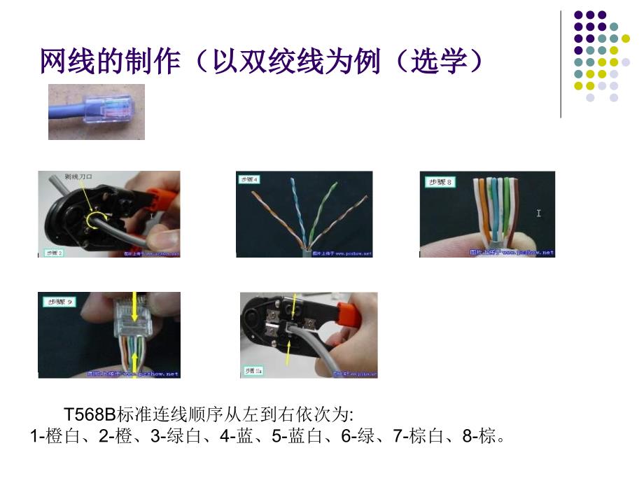 高中信息技术网络基础及应用_第4页