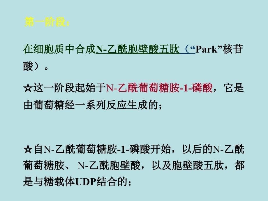 微生物独特合成代谢举例_第5页