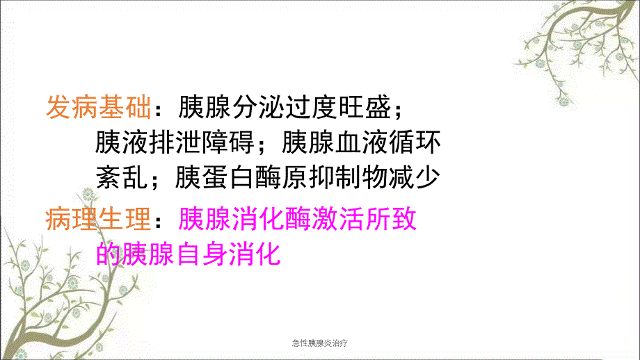 急性胰腺炎治疗课件_第4页