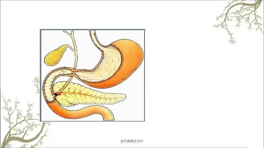 急性胰腺炎治疗课件_第5页