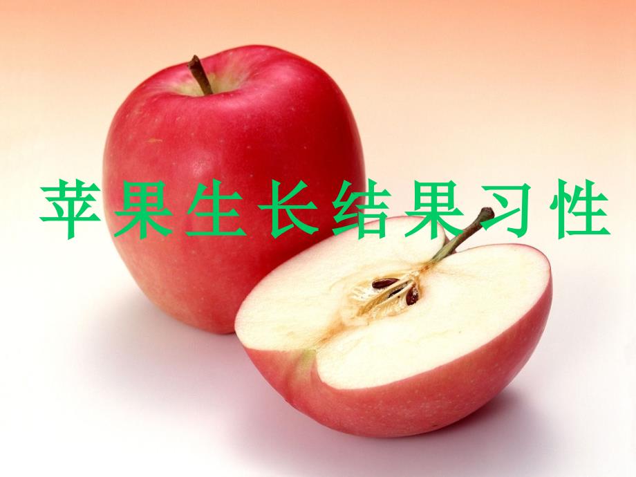 二苹果生长结果习性资料_第1页