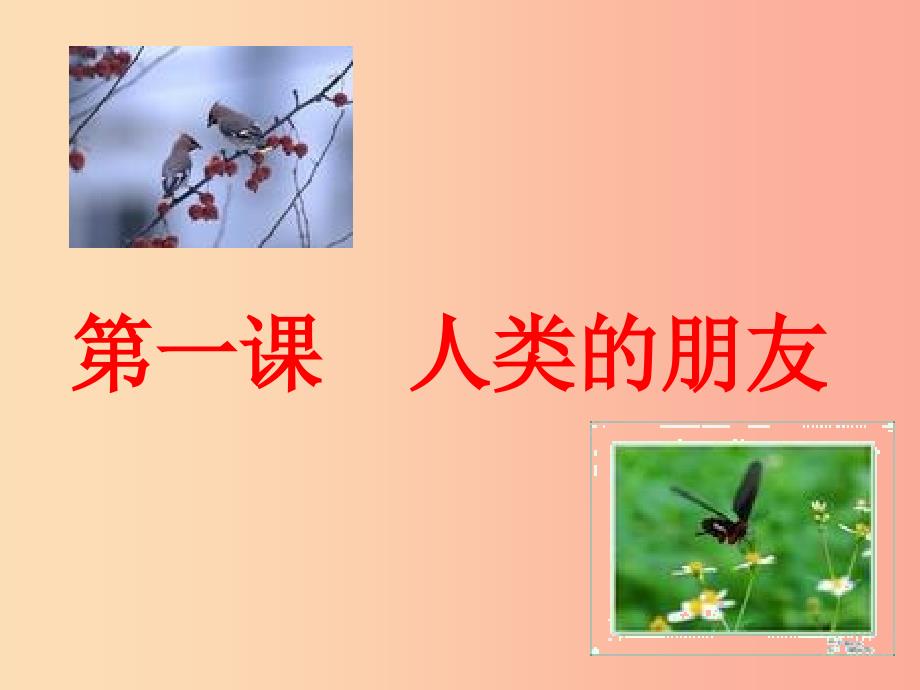 九年级道德与法治下册 第一单元 自然的声音 第一课 人类的朋友课件 教科版.ppt_第2页