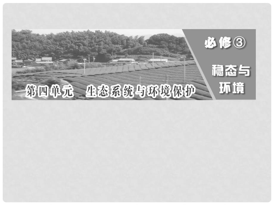 高考生物一轮复习 第四单元 第一讲 生态系统的结构与能量流动课件 必修3_第1页