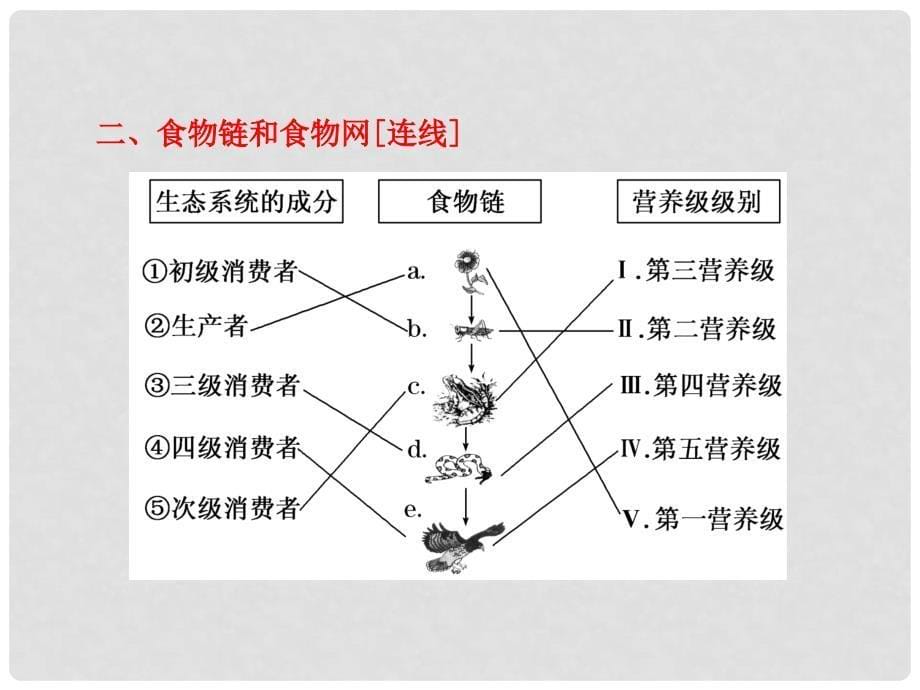 高考生物一轮复习 第四单元 第一讲 生态系统的结构与能量流动课件 必修3_第5页